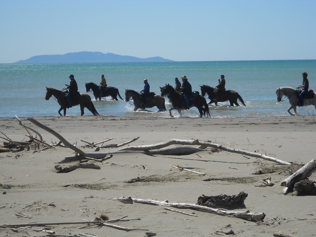 Cavalli sulla spiaggia