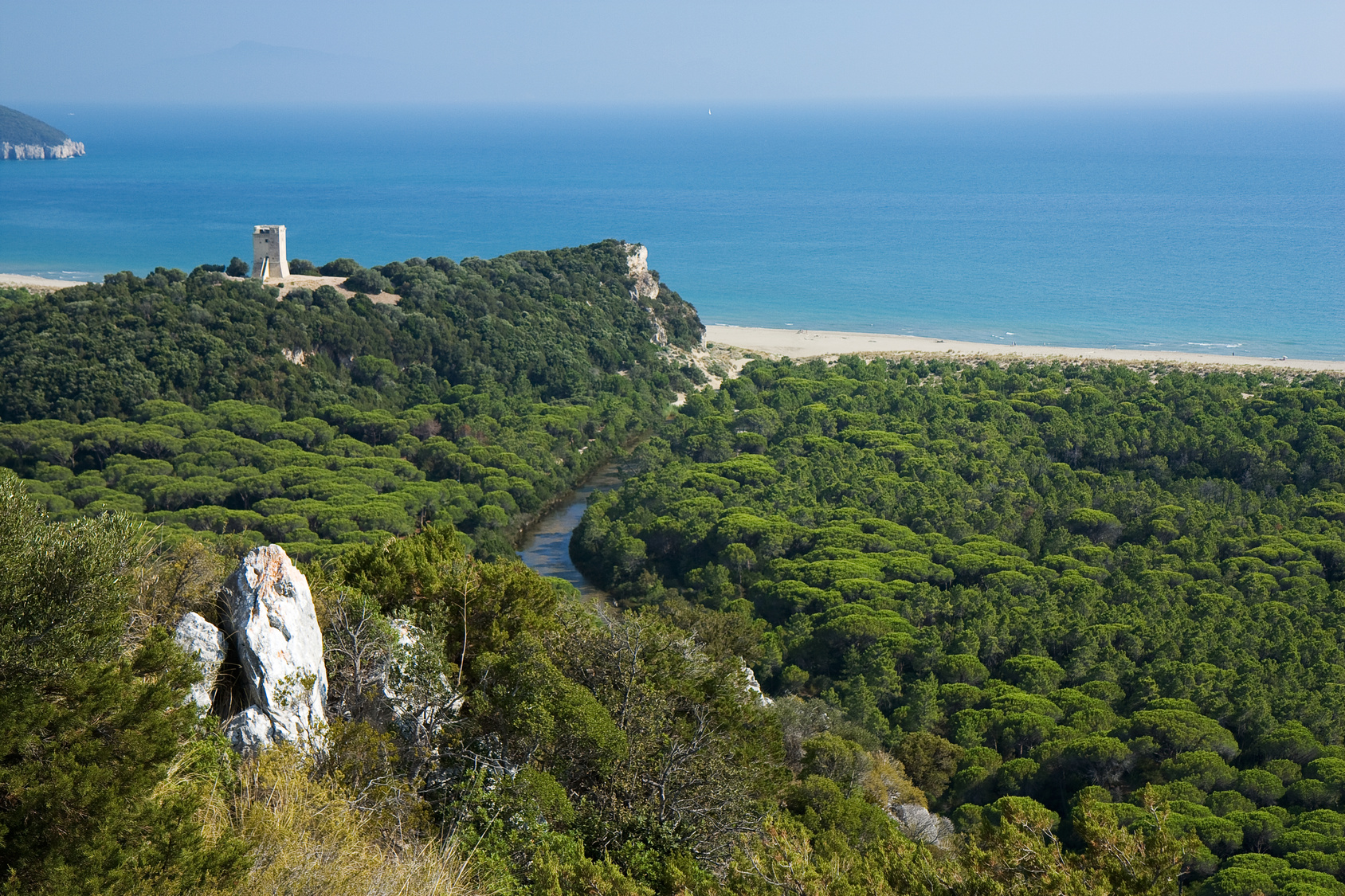 parco maremma testa