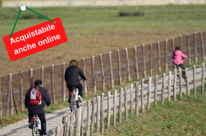 Percorso combinato: San Rabano – spiaggia di Collelungo – pineta Granducale – Marina di Alberese