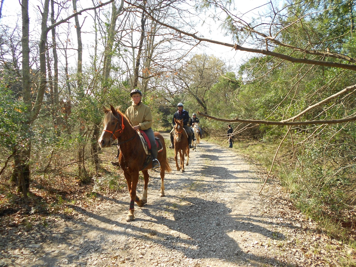 DSCN a cavallo