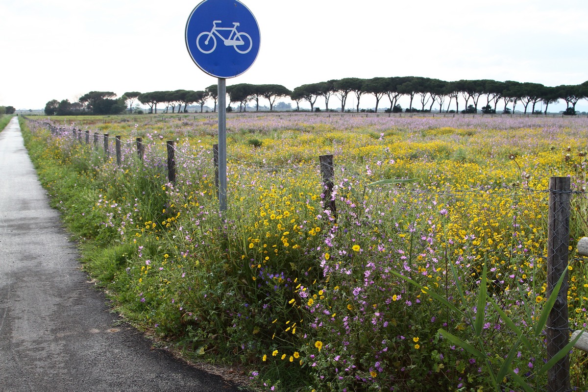 MG  itinerari bici