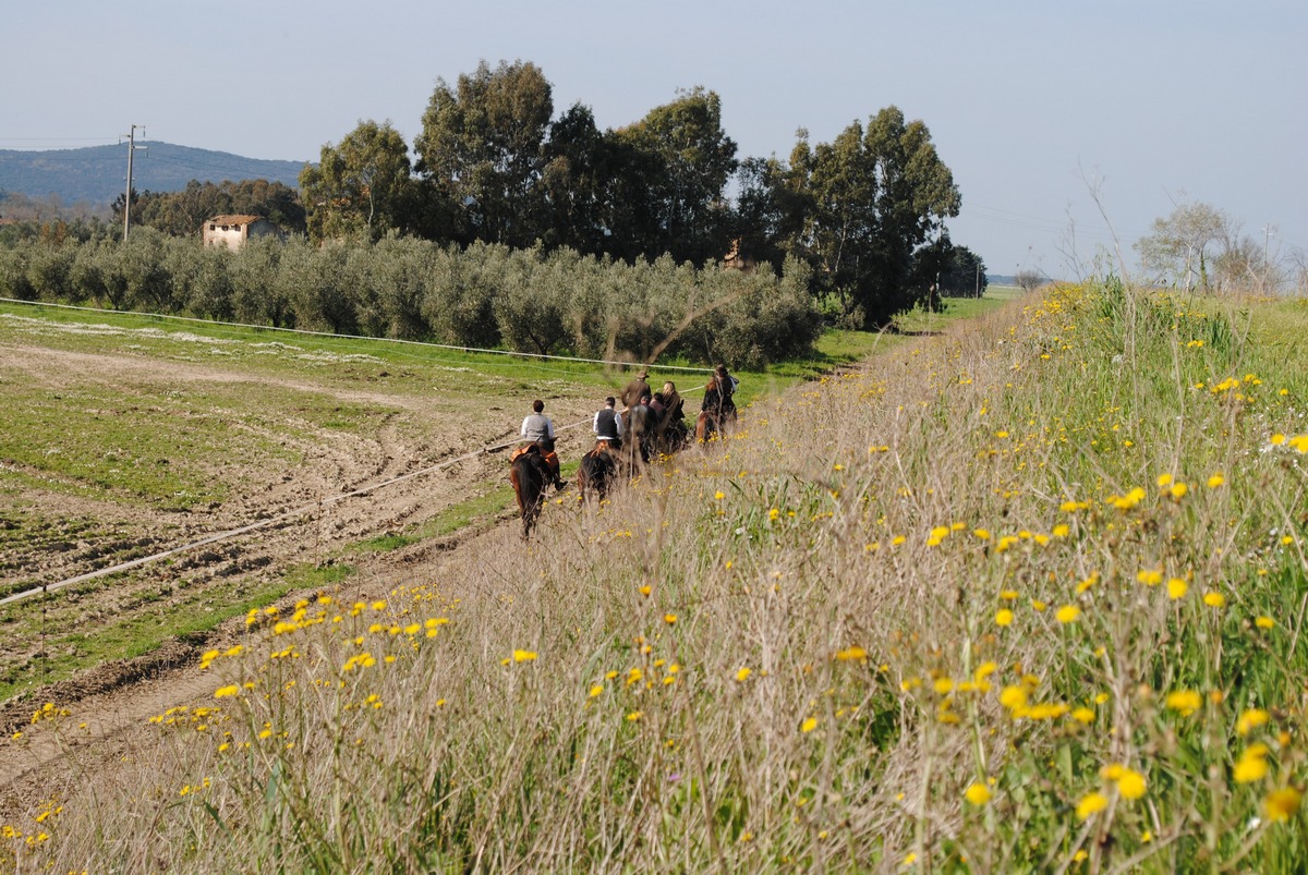 raduno equestre  a cavallo