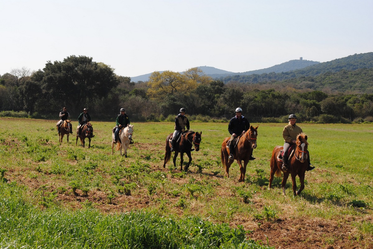 raduno equestre  a cavallo