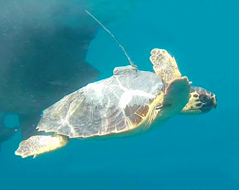 acquario talamone