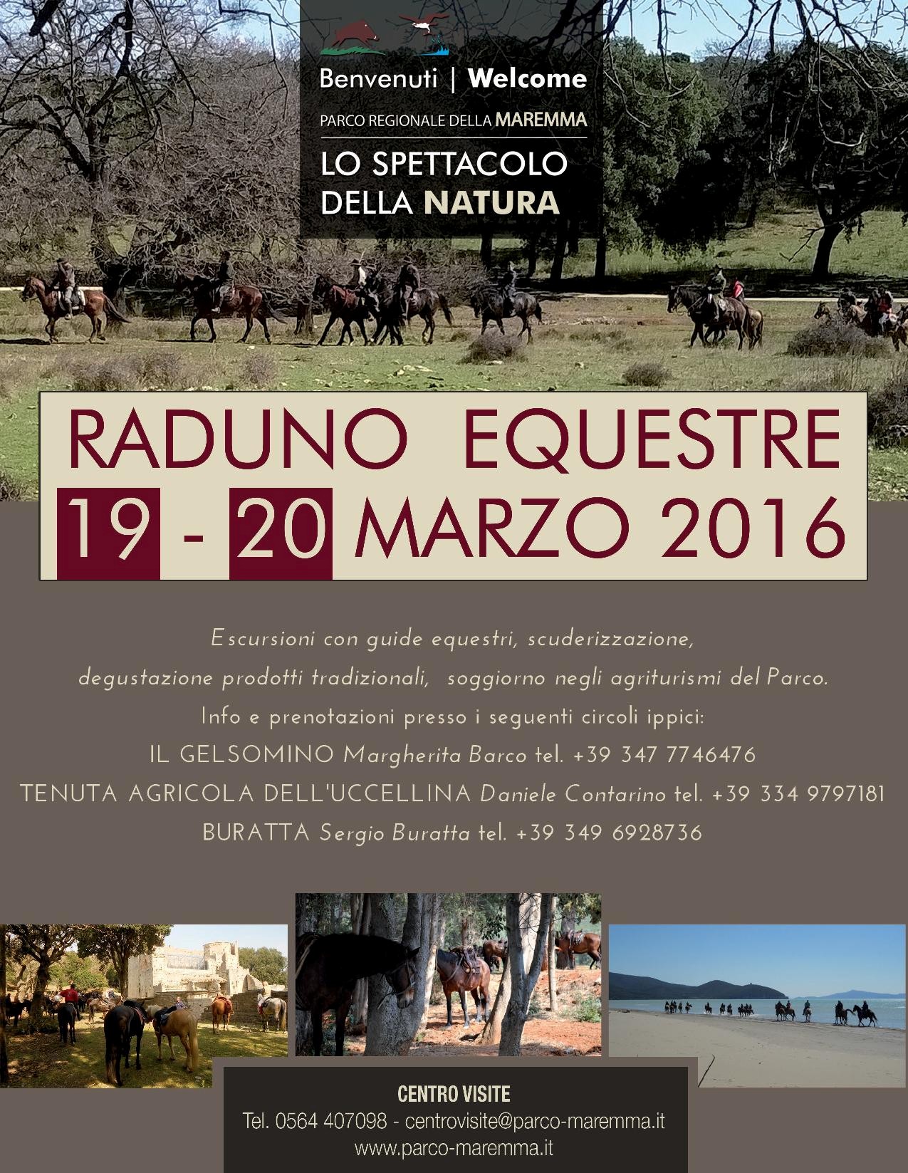 Raduno equestre marzo  page