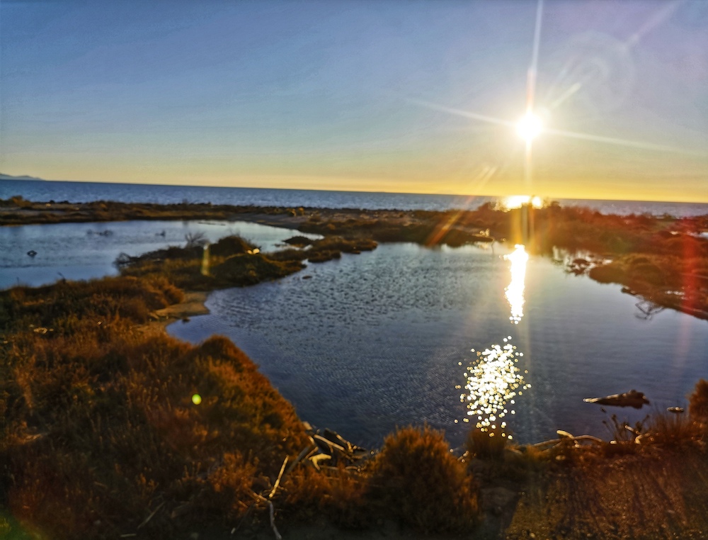 Ordinanza n.3 per la Gestione delle attività del Parco della Maremma