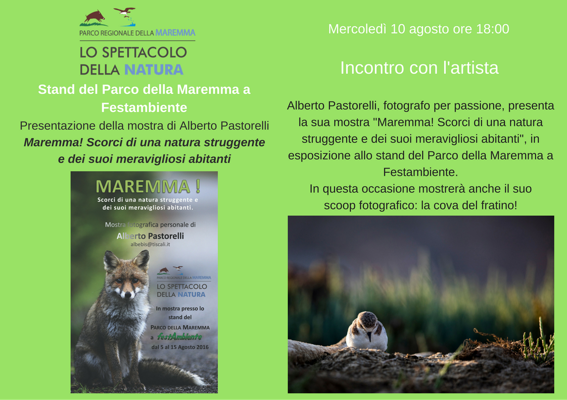 Presentazione mostra Pastorelli locandina