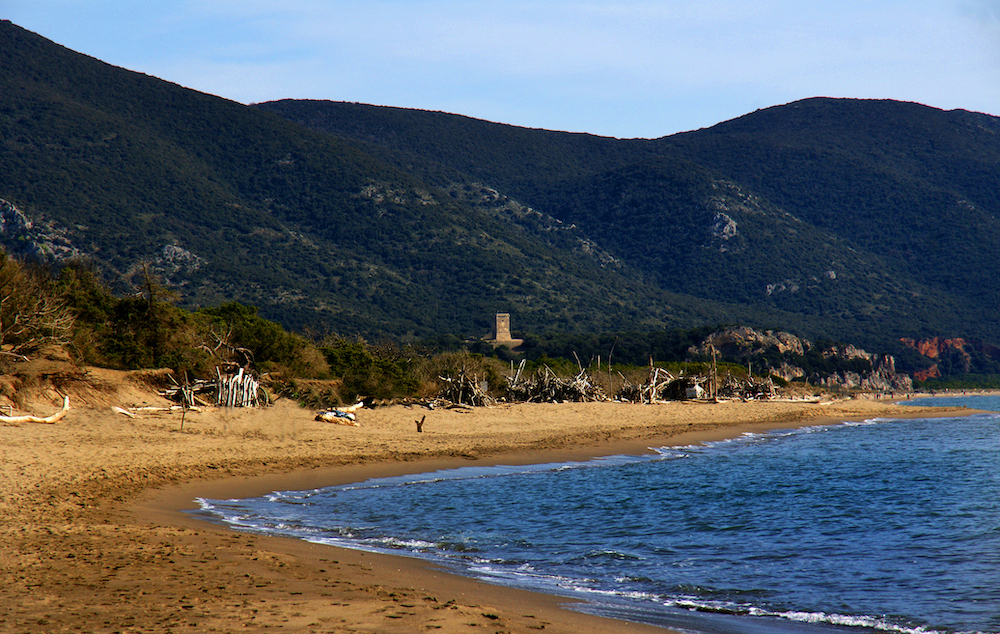 Gli eventi di giugno al Parco della Maremma