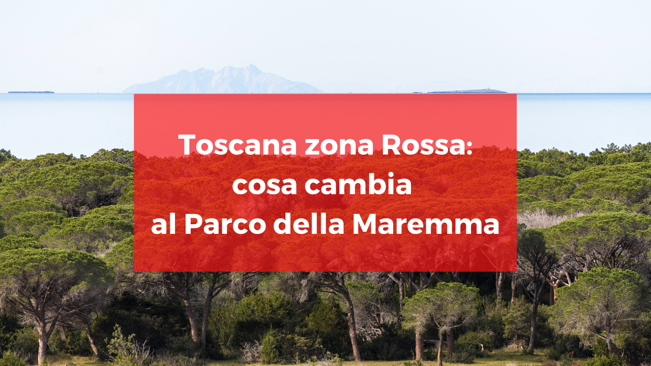 anteprima parco maremma