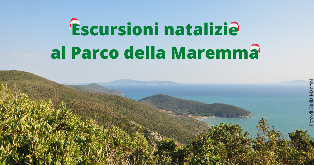 escursioni natale