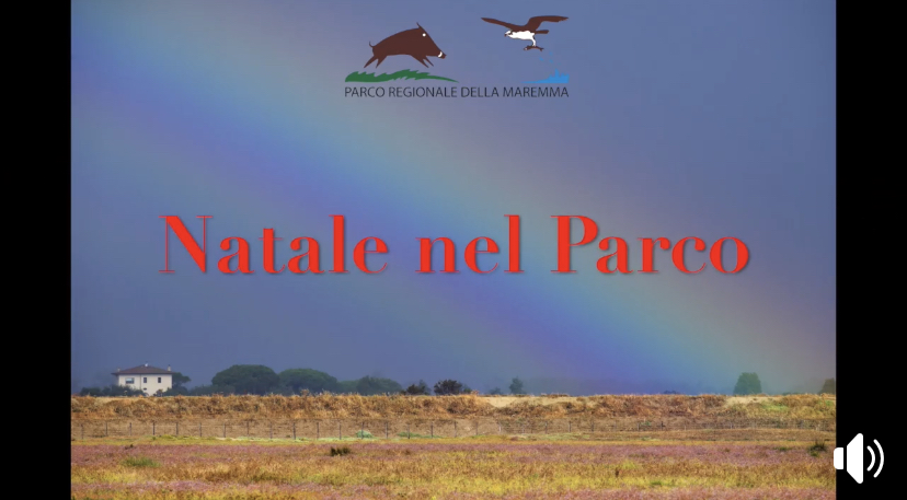 parco natale