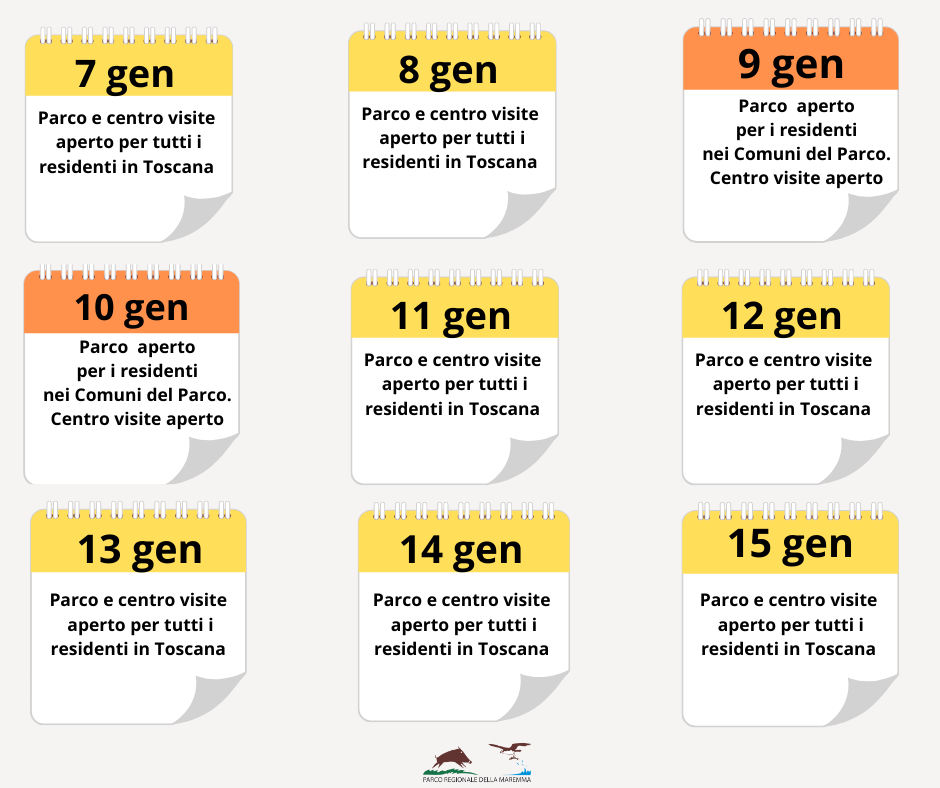 calendario attivita   gen